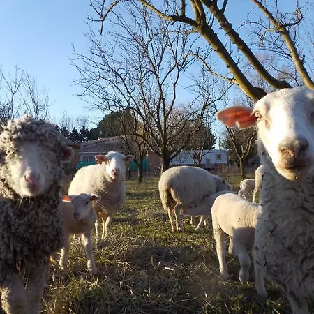 Alloggio per agriturismo Chambres D'hote Les Jardins De Prasserat *