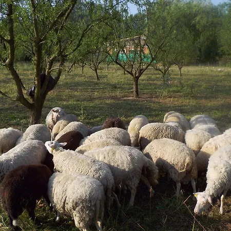 Alloggio per agriturismo Chambres D'hote Les Jardins De Prasserat